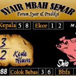 SYAIR SYDNEY