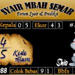 SYAIR SYDNEY