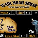 SYAIR SYDNEY