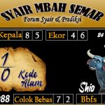 SYAIR SYDNEY