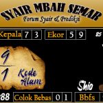 SYAIR SYDNEY