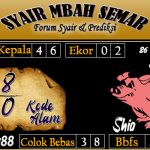 SYAIR SYDNEY