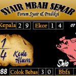 SYAIR SYDNEY